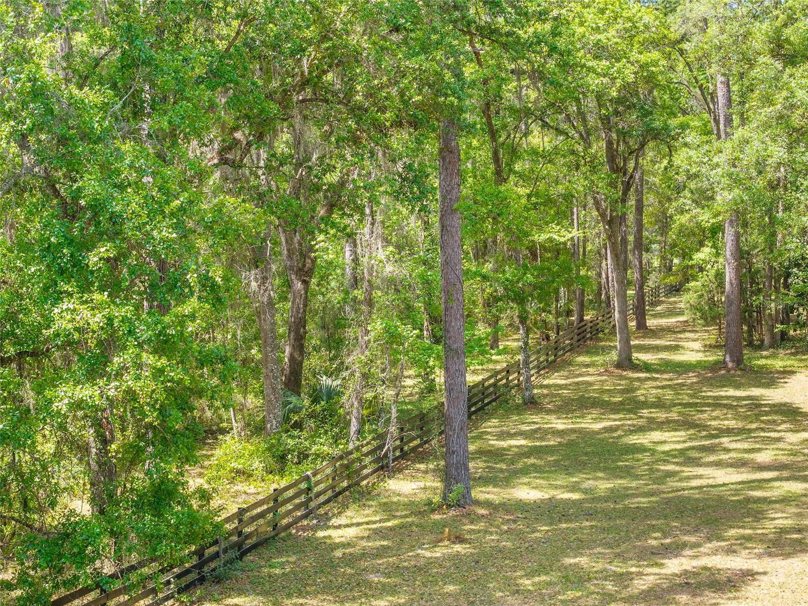 TBD SW 144 COURT RD, OCALA, FL, 34482