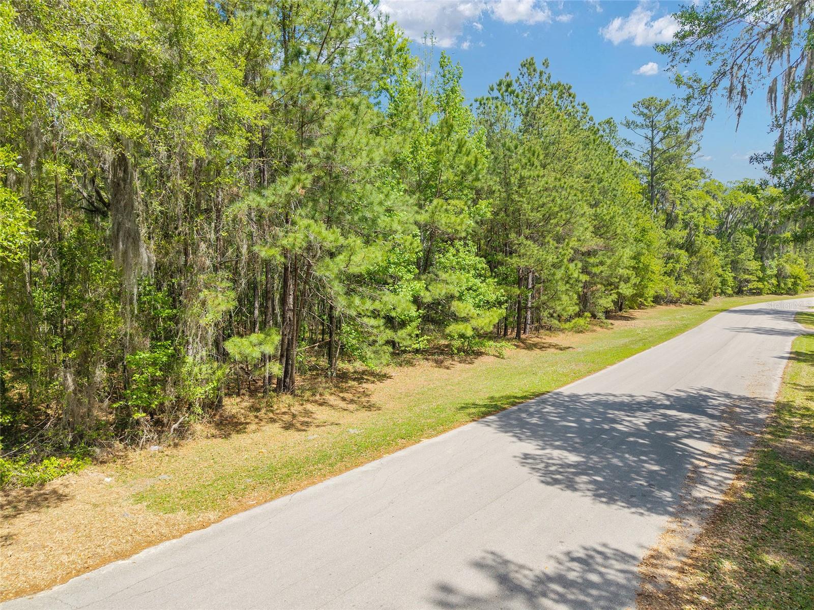 TBD SW 144 COURT RD, OCALA, FL, 34482