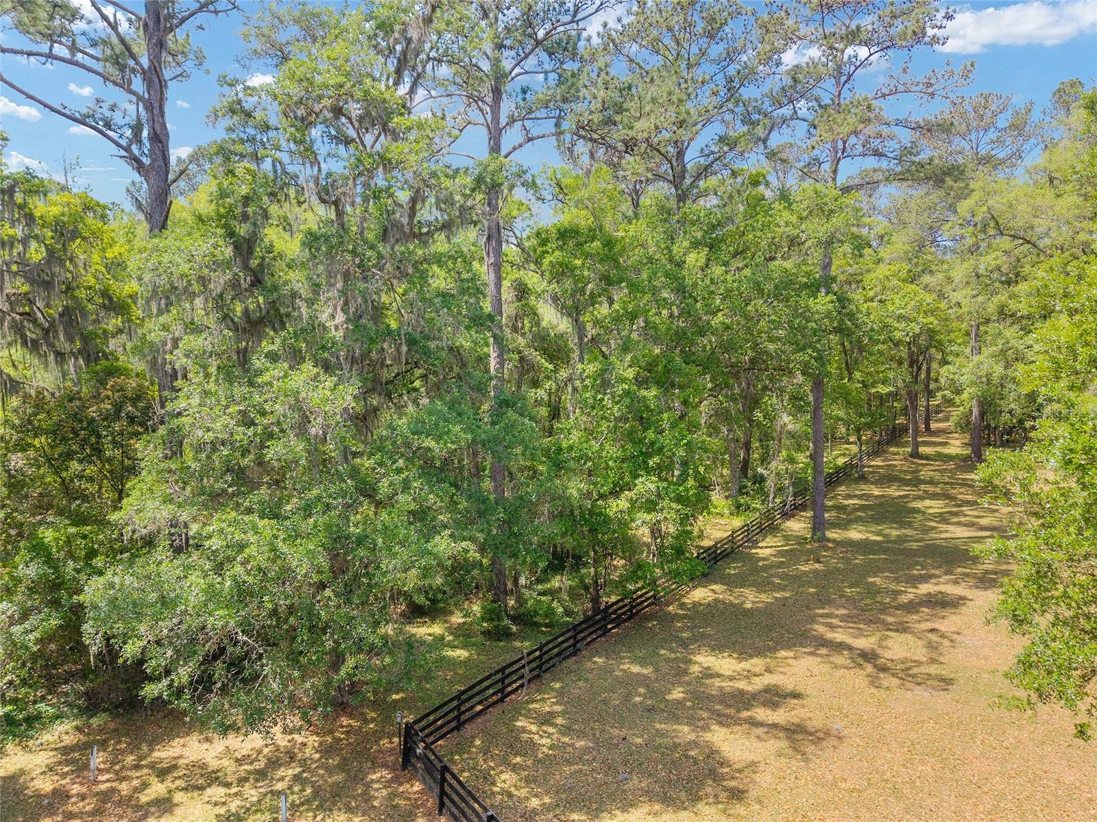 TBD SW 144 COURT RD, OCALA, FL, 34482