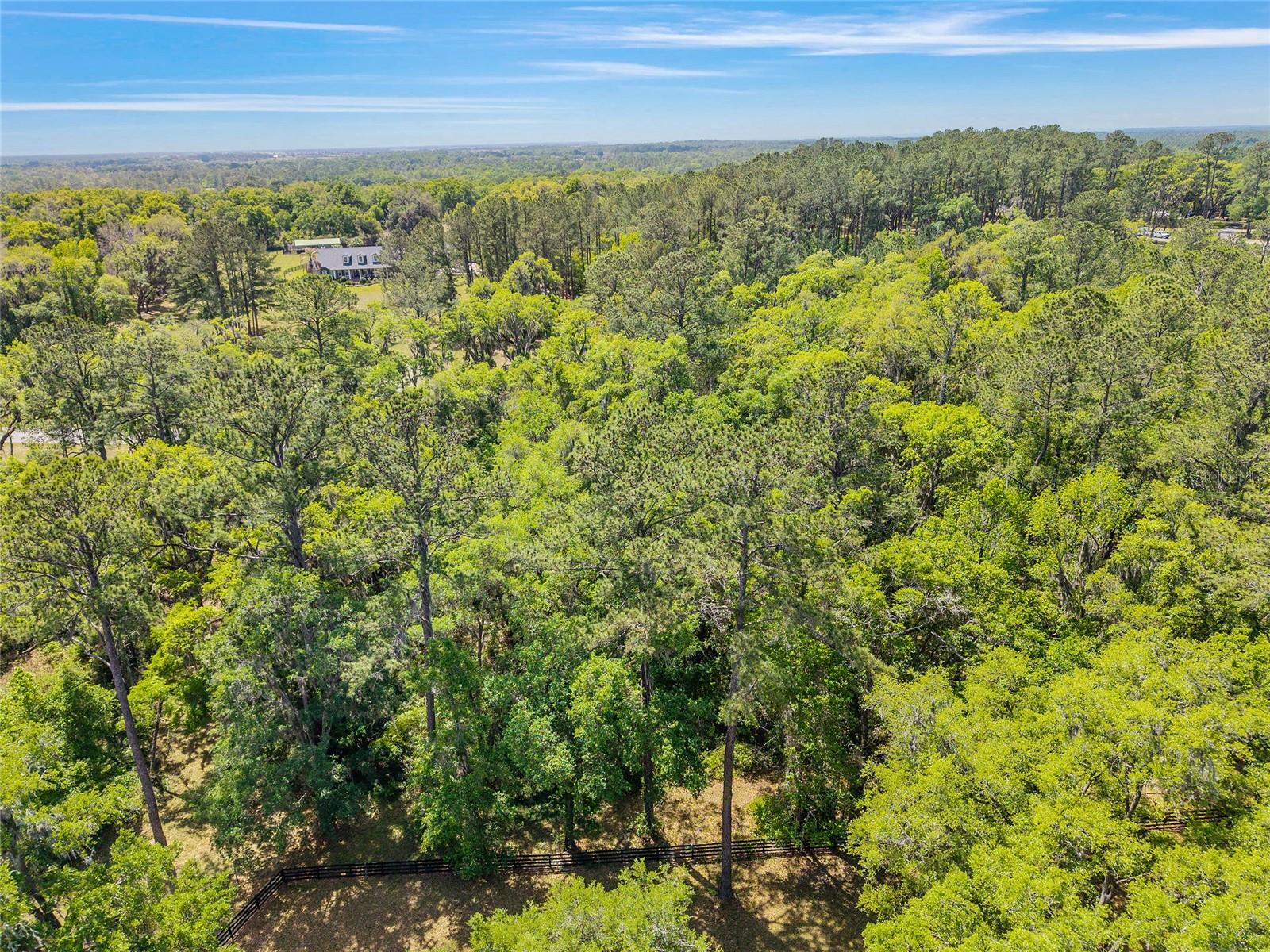 TBD SW 144 COURT RD, OCALA, FL, 34482