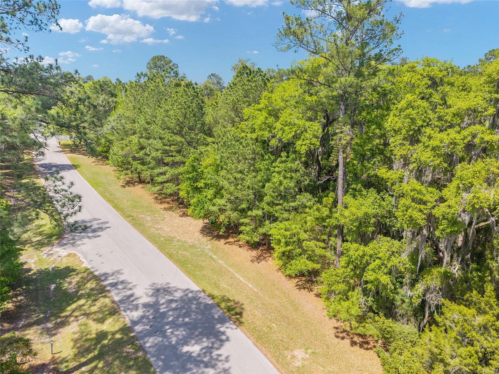 TBD SW 144 COURT RD, OCALA, FL, 34482