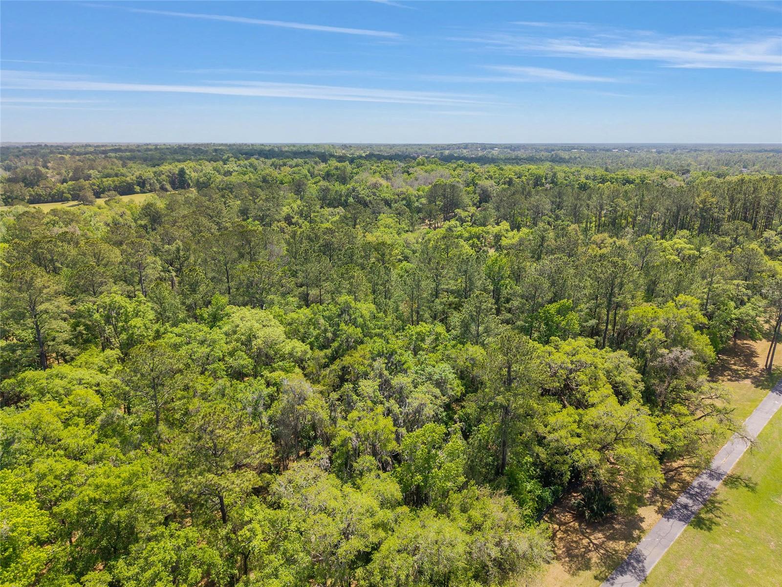TBD SW 144 COURT RD, OCALA, FL, 34482