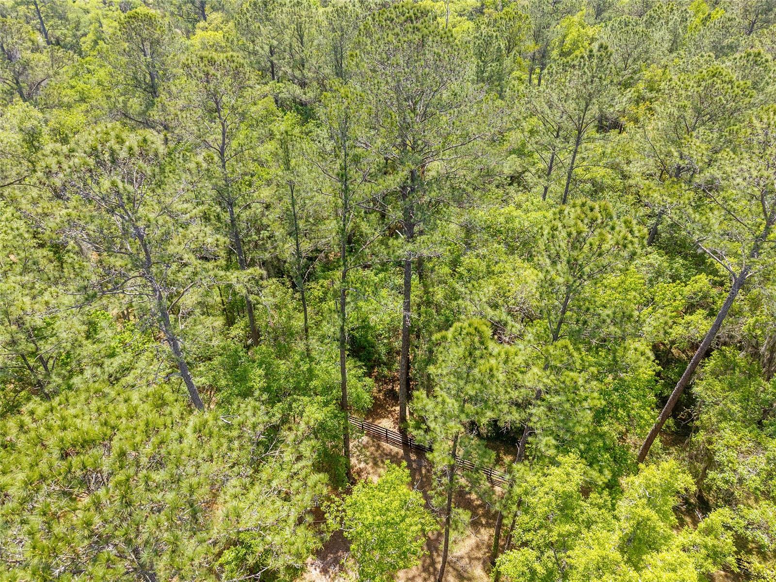 TBD SW 144 COURT RD, OCALA, FL, 34482