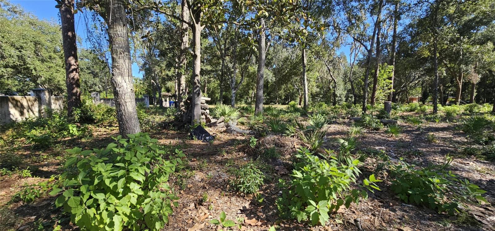 PIERMAJ LN, LUTZ, FL, 33549