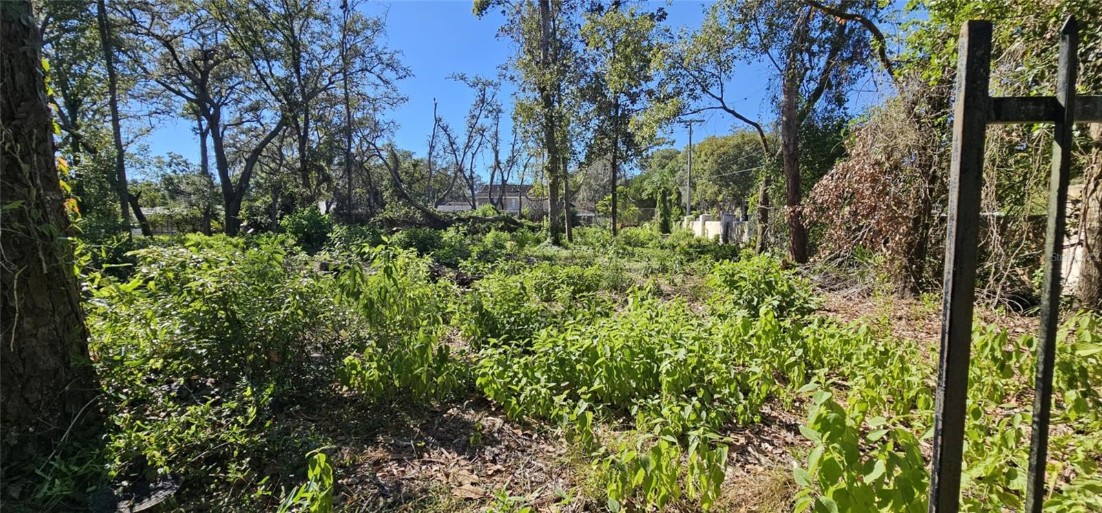 PIERMAJ LN, LUTZ, FL, 33549