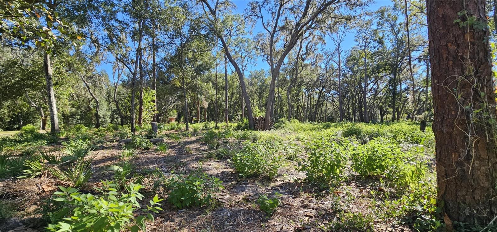 PIERMAJ LN, LUTZ, FL, 33549