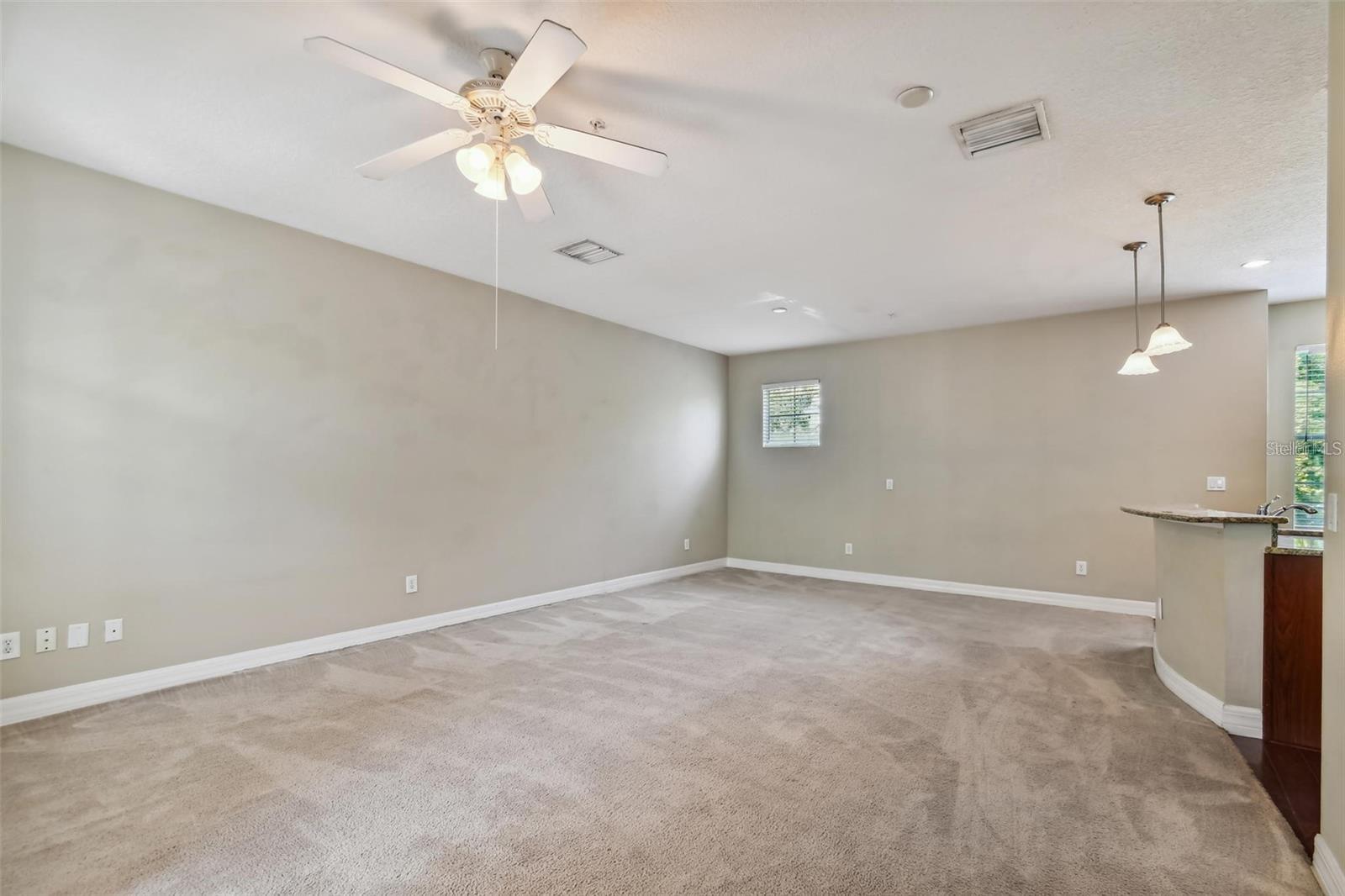 4503 BAY SPRING CT, TAMPA, FL, 33611
