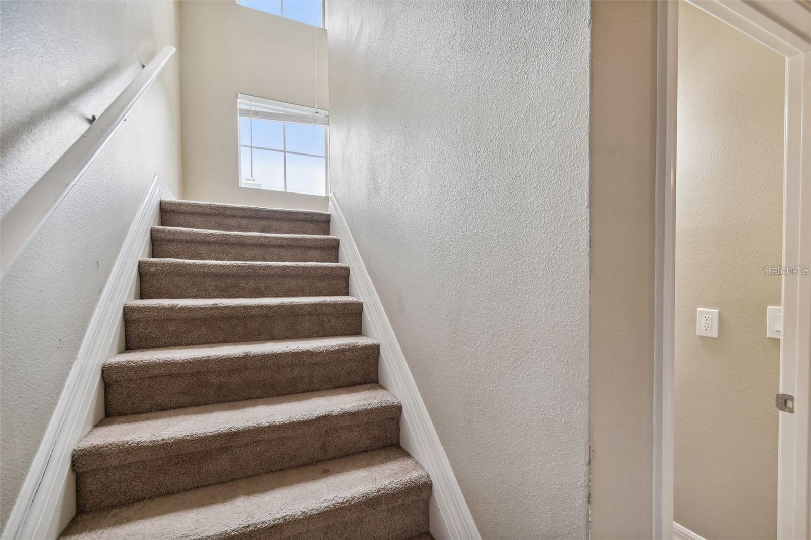 4503 BAY SPRING CT, TAMPA, FL, 33611