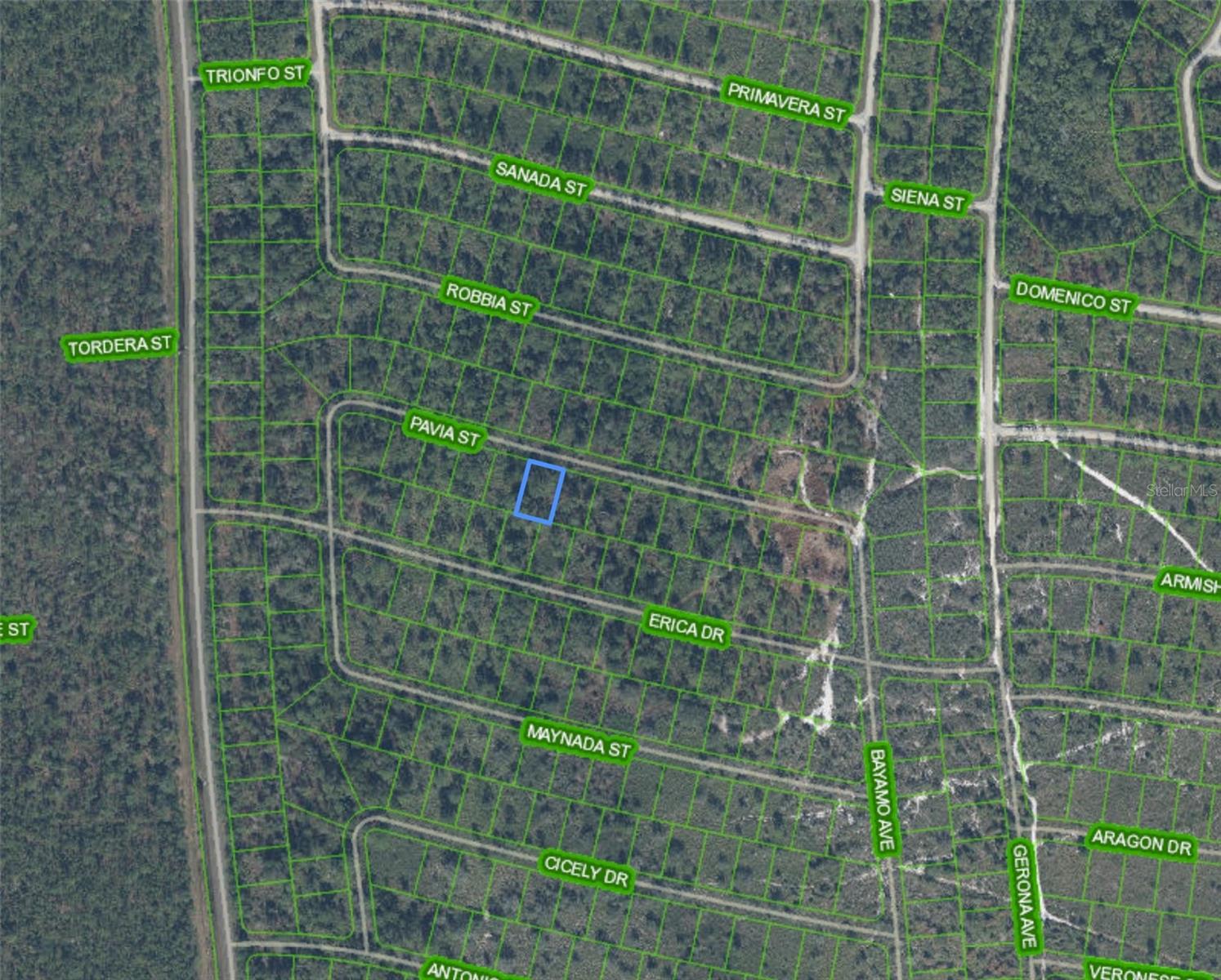 8655 PAVIA ST, SEBRING, FL, 33872