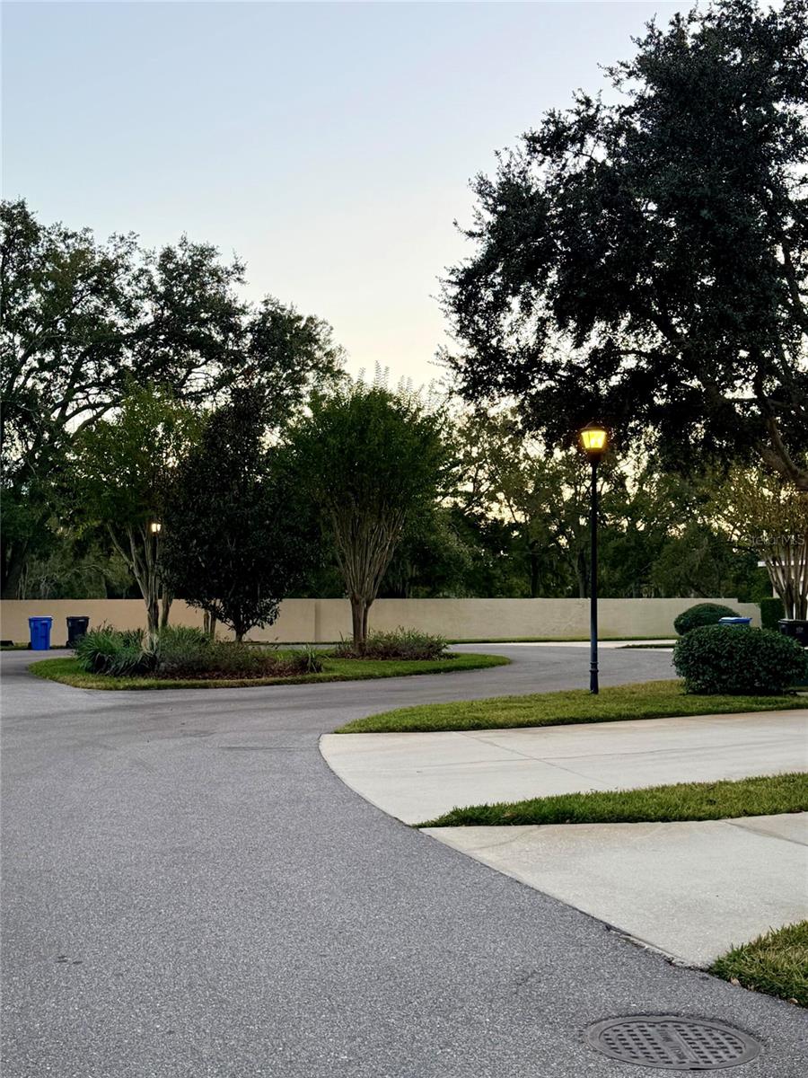 6517 SPRING OAK CT, TAMPA, FL, 33625