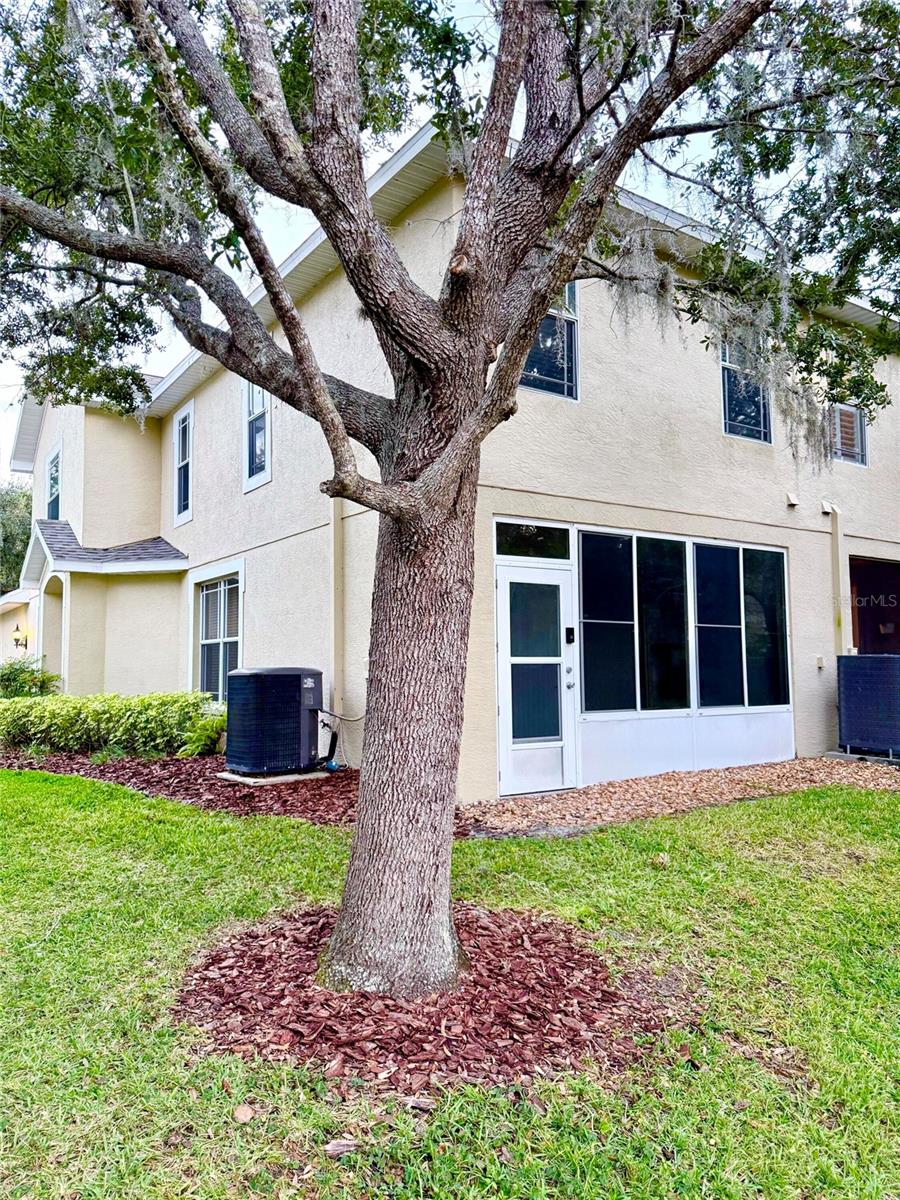 6517 SPRING OAK CT, TAMPA, FL, 33625