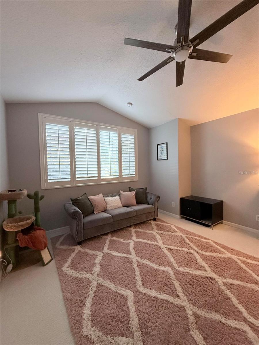 6517 SPRING OAK CT, TAMPA, FL, 33625