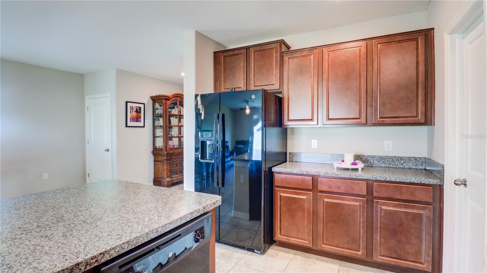 9633 CHANNING HILL DR, SUN CITY CENTER, FL, 33573