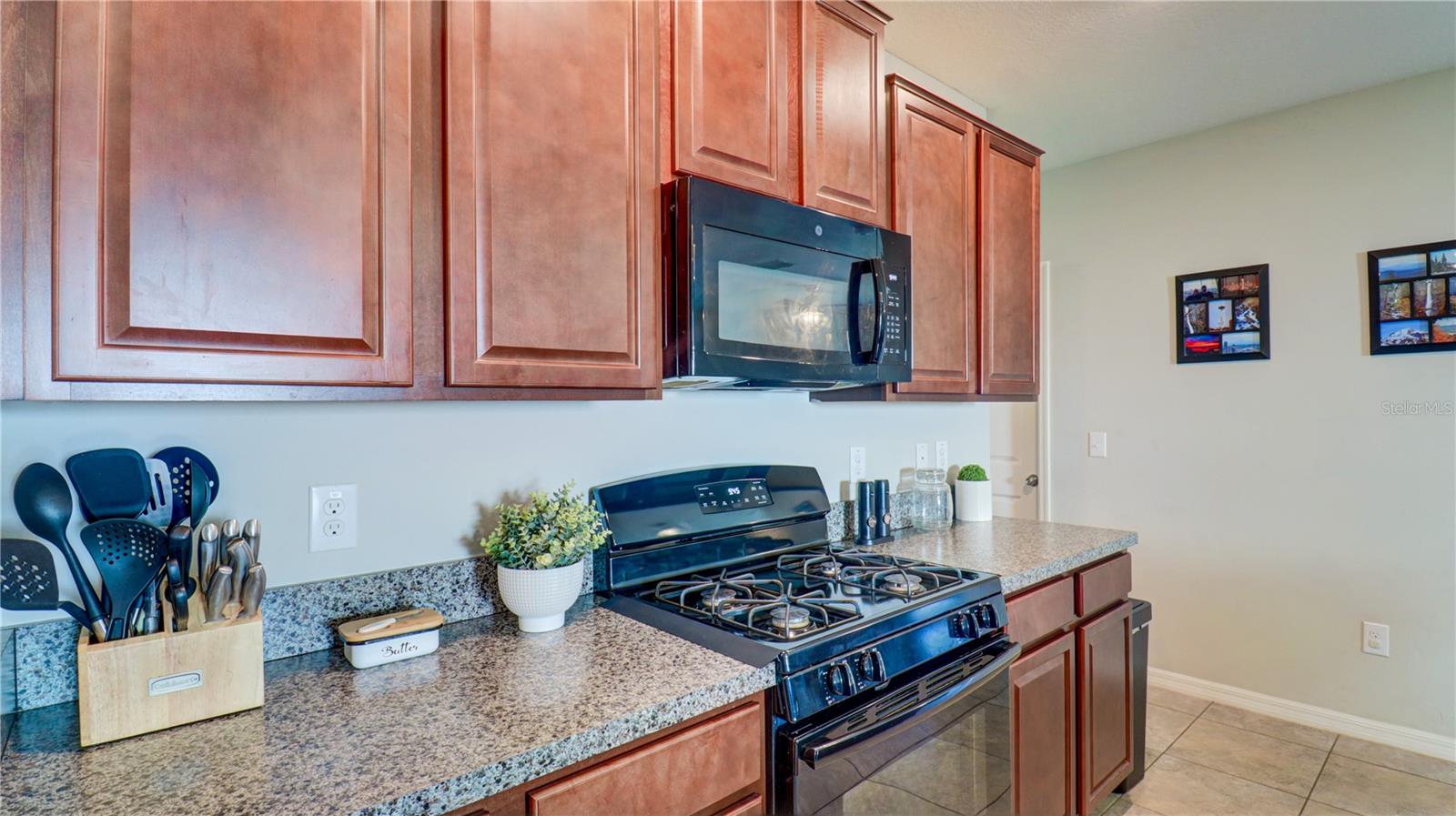 9633 CHANNING HILL DR, SUN CITY CENTER, FL, 33573