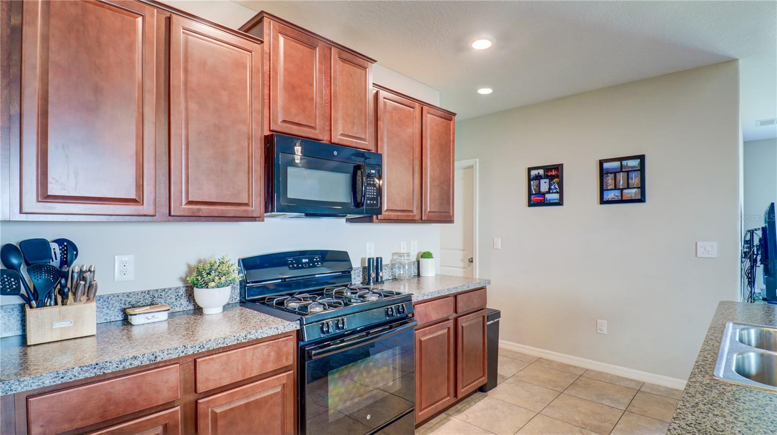 9633 CHANNING HILL DR, SUN CITY CENTER, FL, 33573