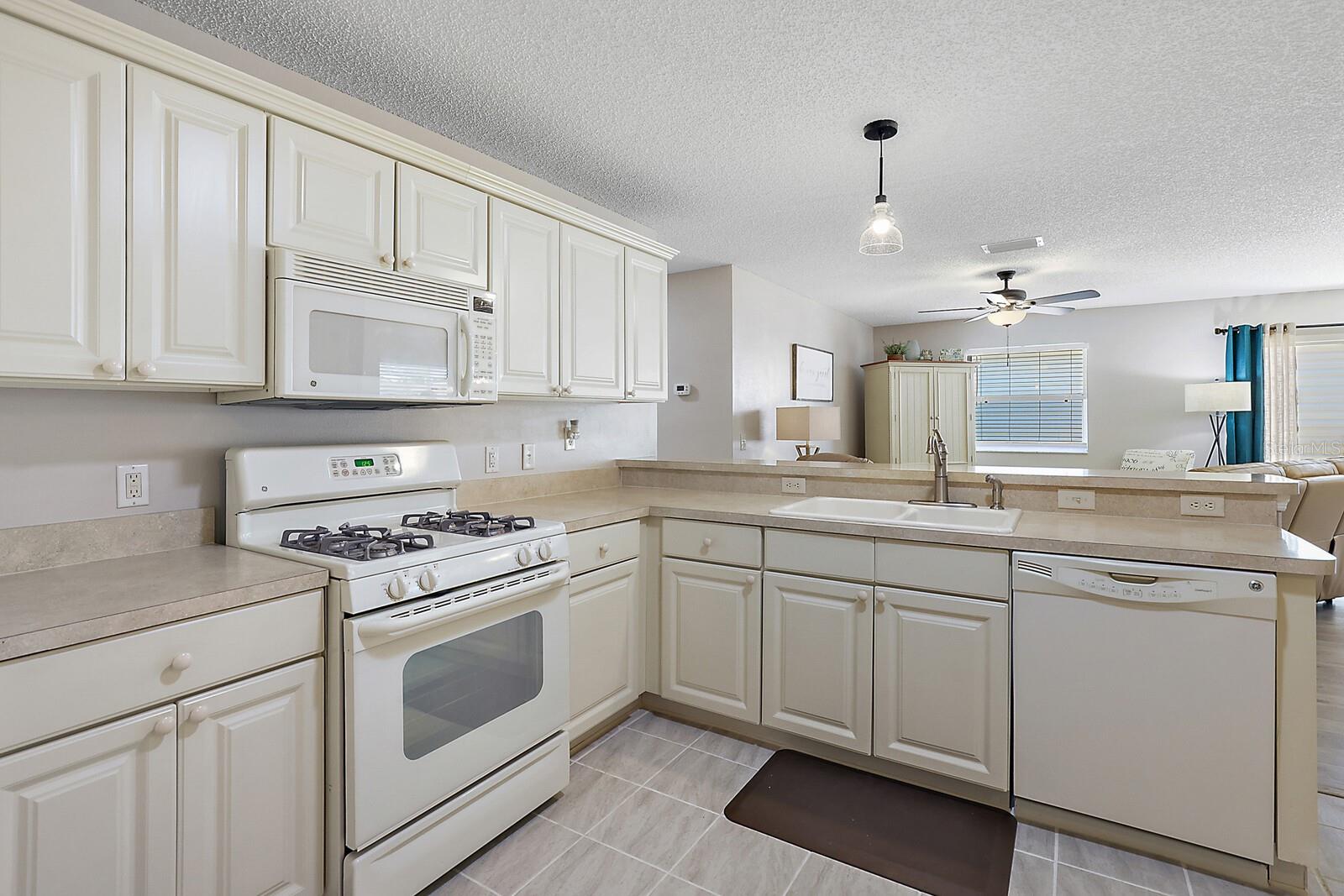 2014 JOHNSON CT, THE VILLAGES, FL, 32162