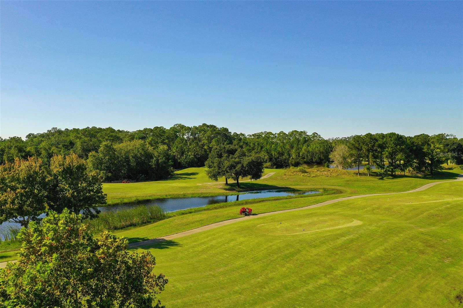 3335 PRIMROSE WILLOW DR, ST CLOUD, FL, 34773