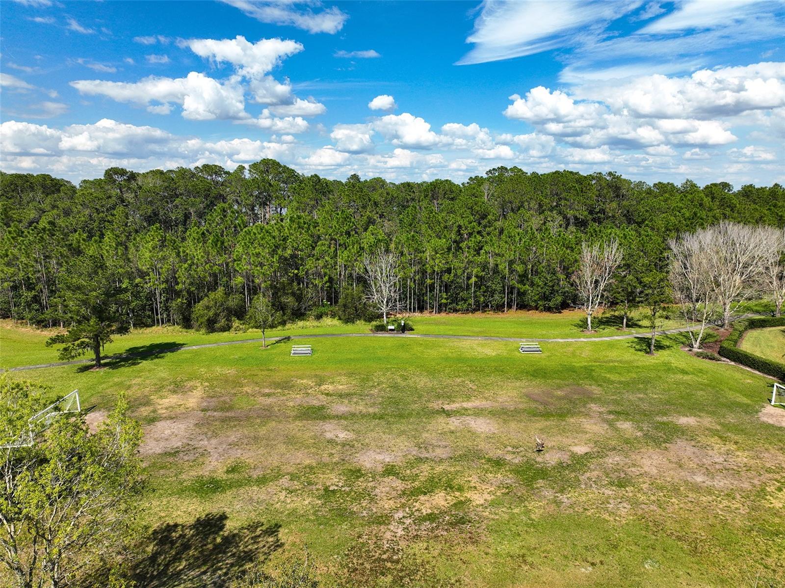 3335 PRIMROSE WILLOW DR, ST CLOUD, FL, 34773