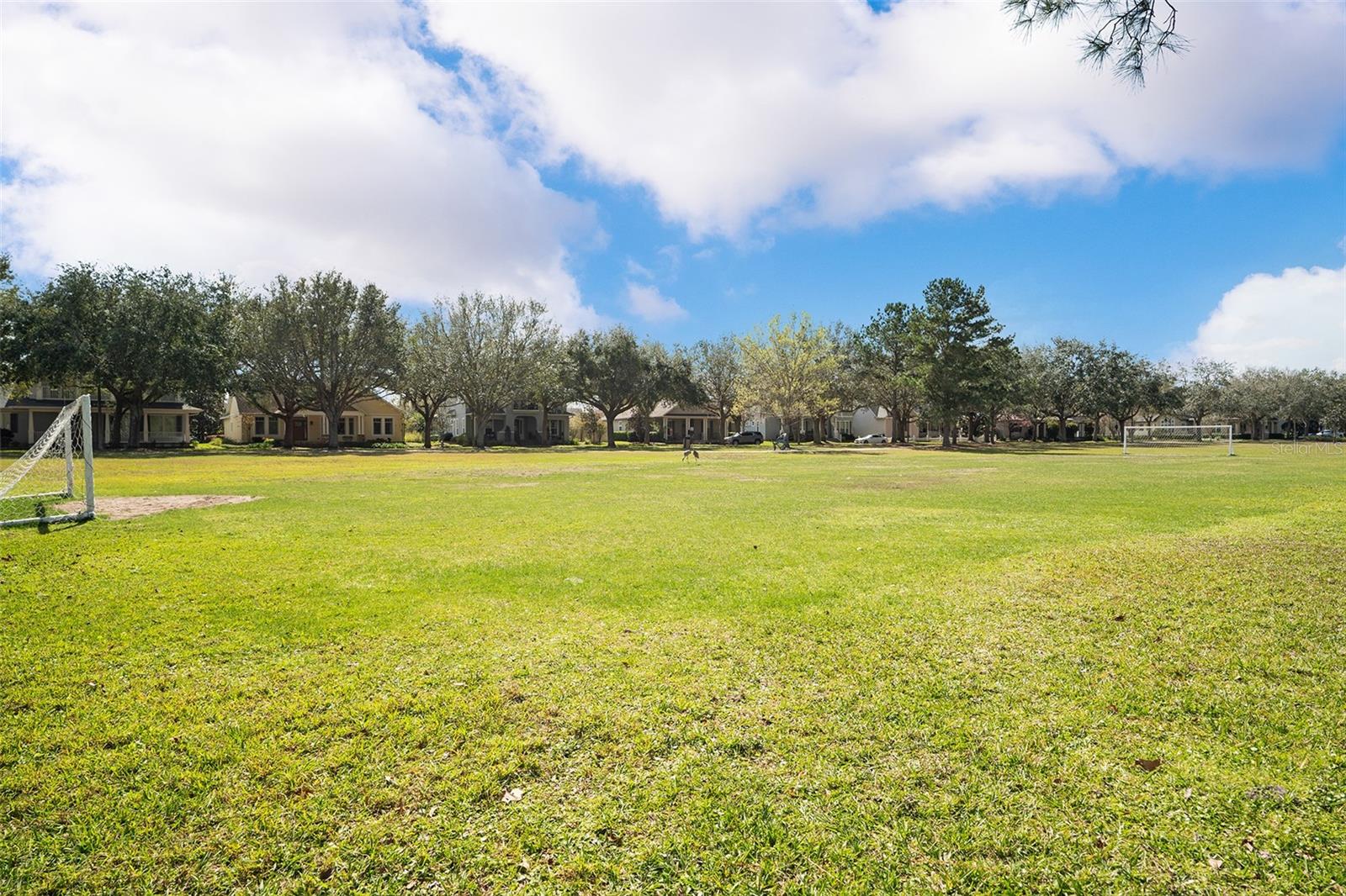 3335 PRIMROSE WILLOW DR, ST CLOUD, FL, 34773