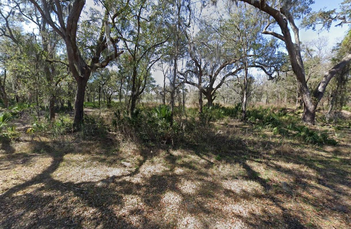 3310 S CANAL RD, INVERNESS, FL, 34450