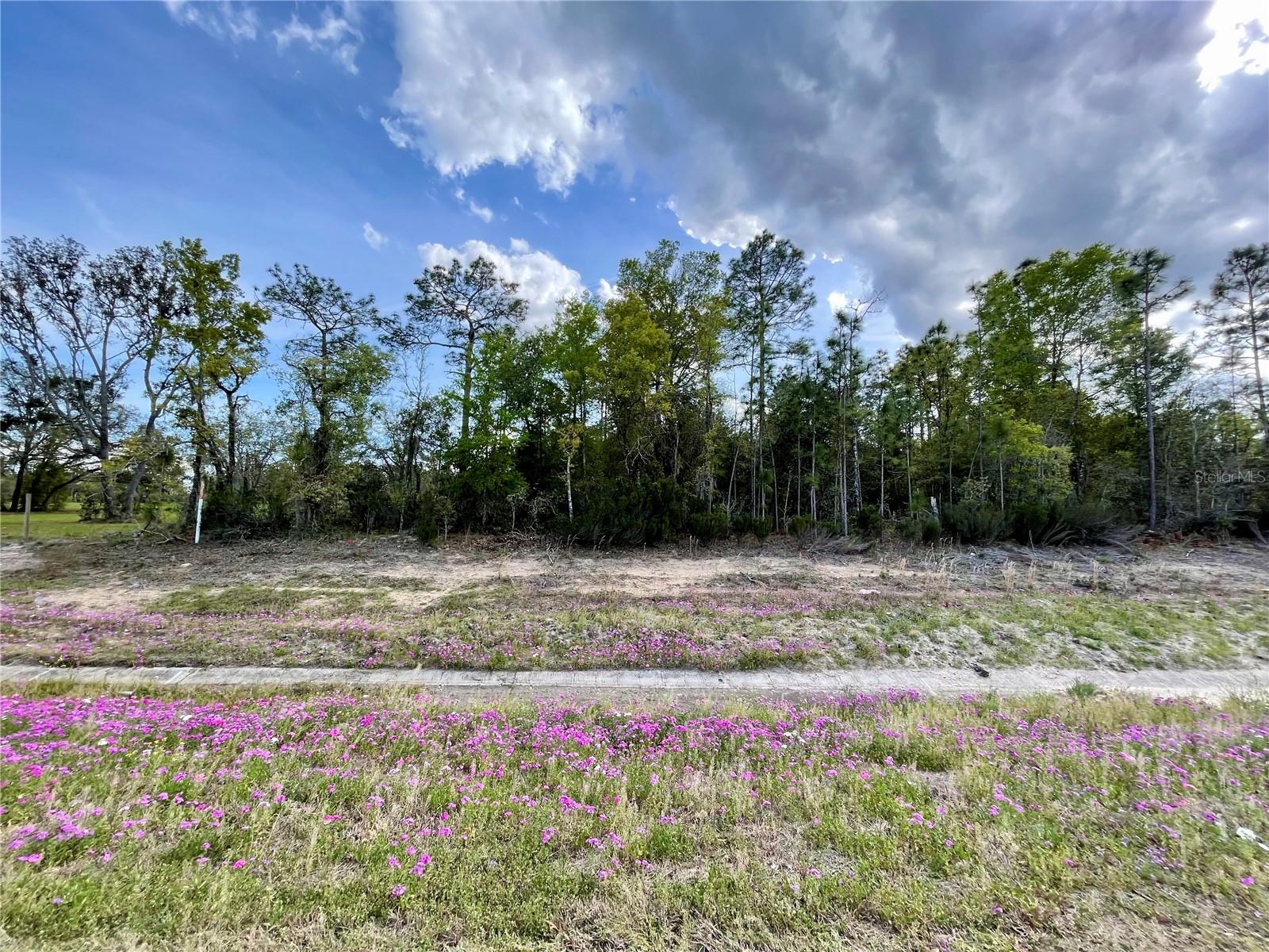 TBD NE HIGHWAY 27 ALT, WILLISTON, FL, 32696