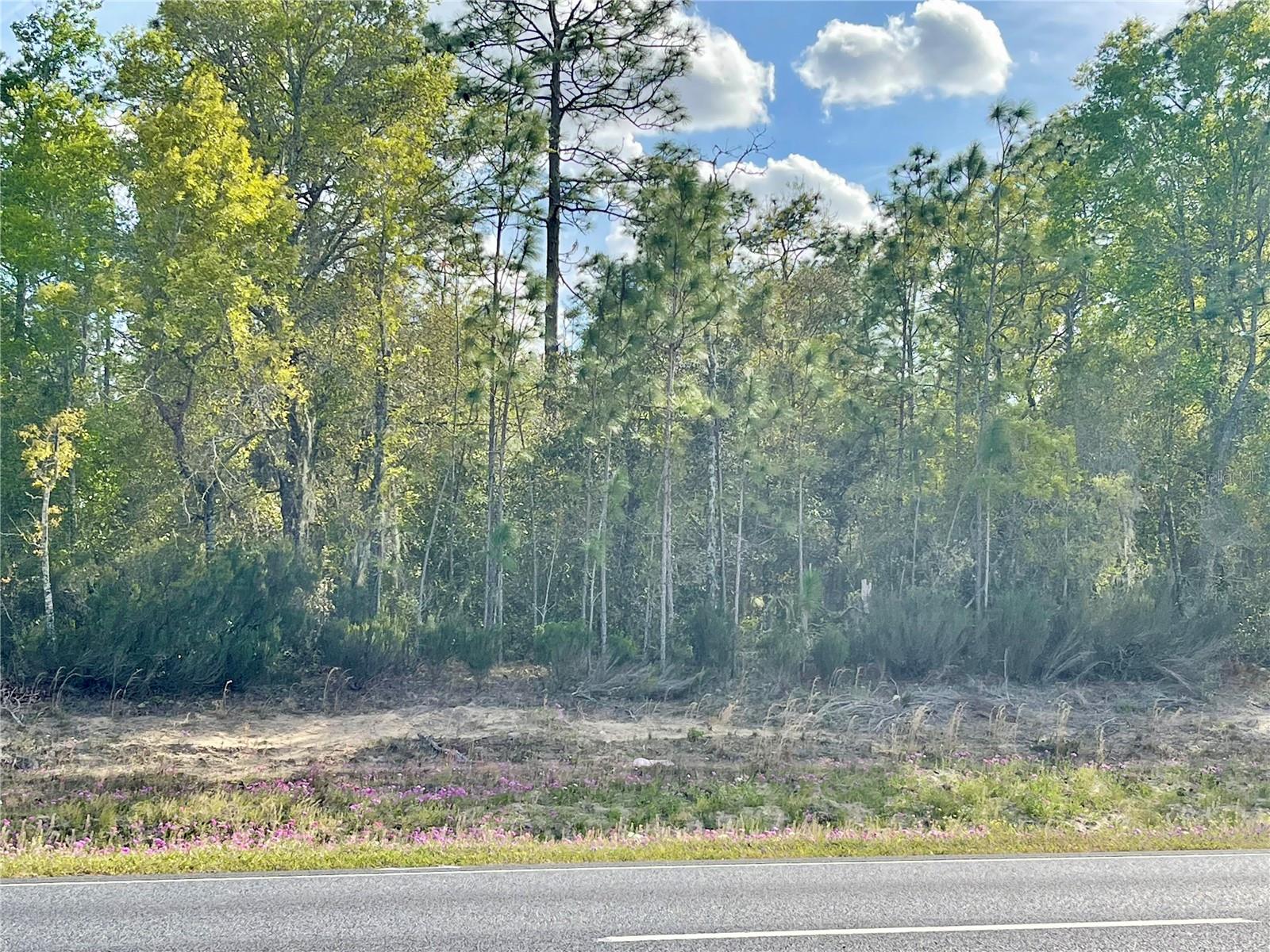 TBD NE HIGHWAY 27 ALT, WILLISTON, FL, 32696