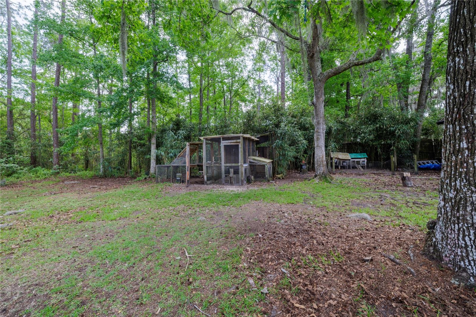 379 OAKRIDGE RD, ORMOND BEACH, FL, 32174
