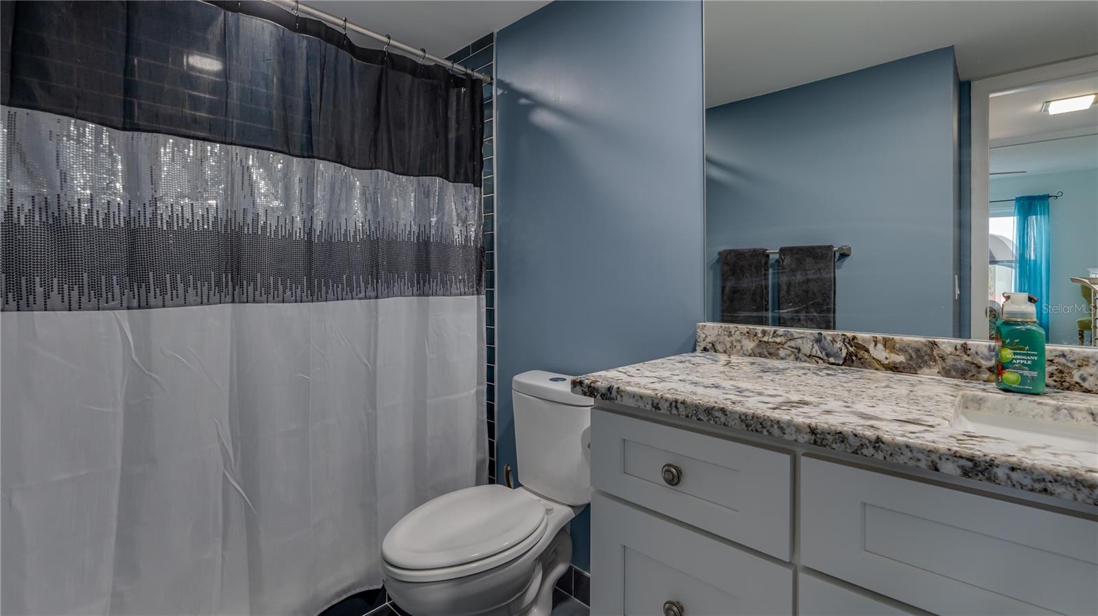 4900 BRITTANY DR S #411, ST PETERSBURG, FL, 33715