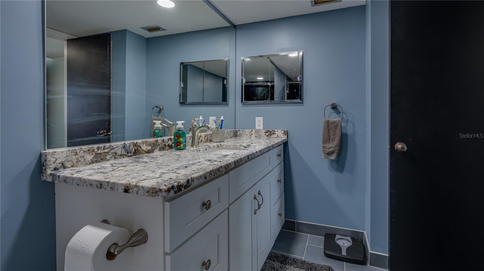 4900 BRITTANY DR S #411, ST PETERSBURG, FL, 33715