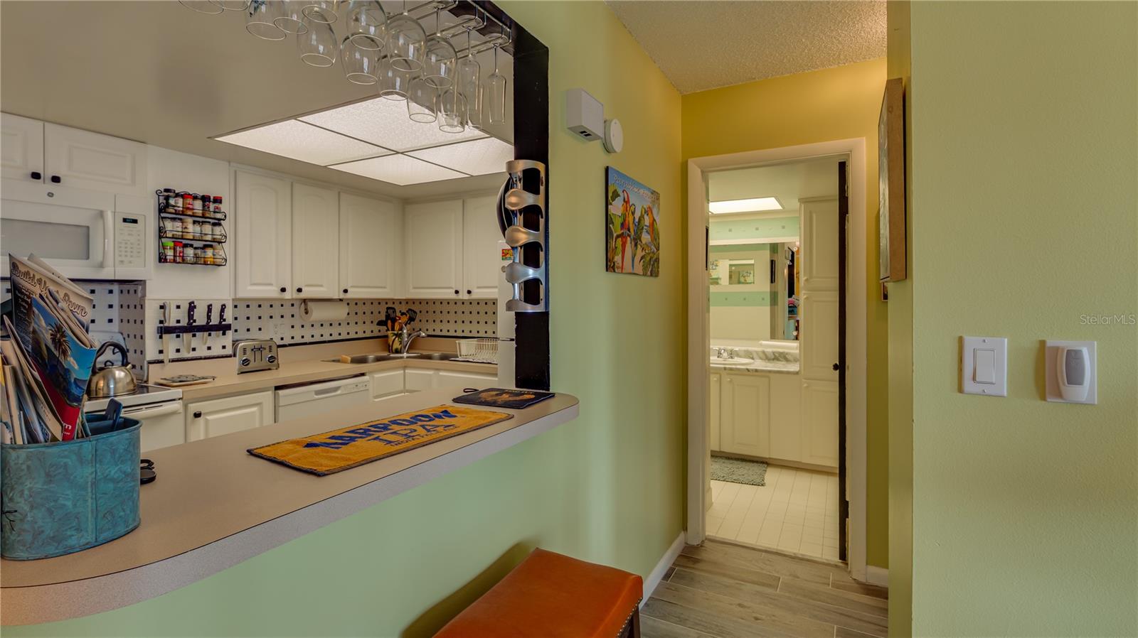 4900 BRITTANY DR S #411, ST PETERSBURG, FL, 33715