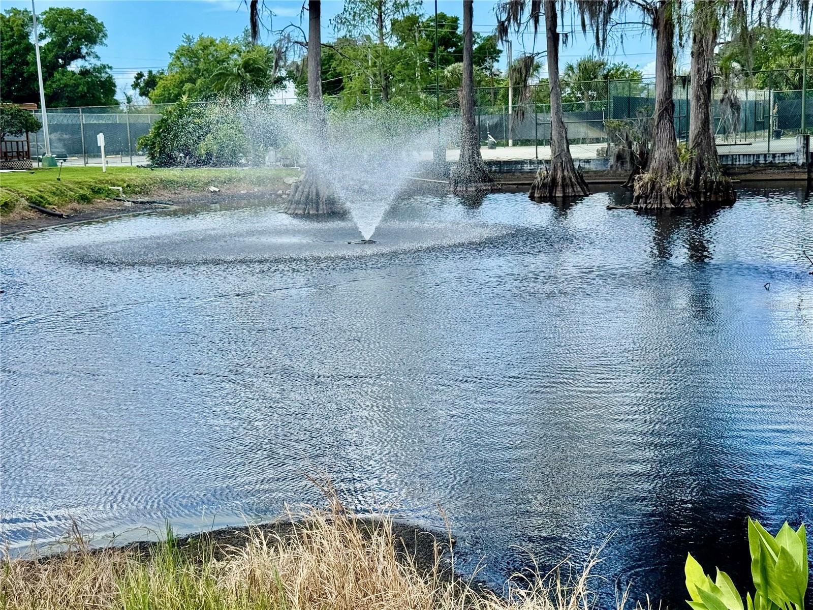 5820 N CHURCH AVE #239, TAMPA, FL, 33614