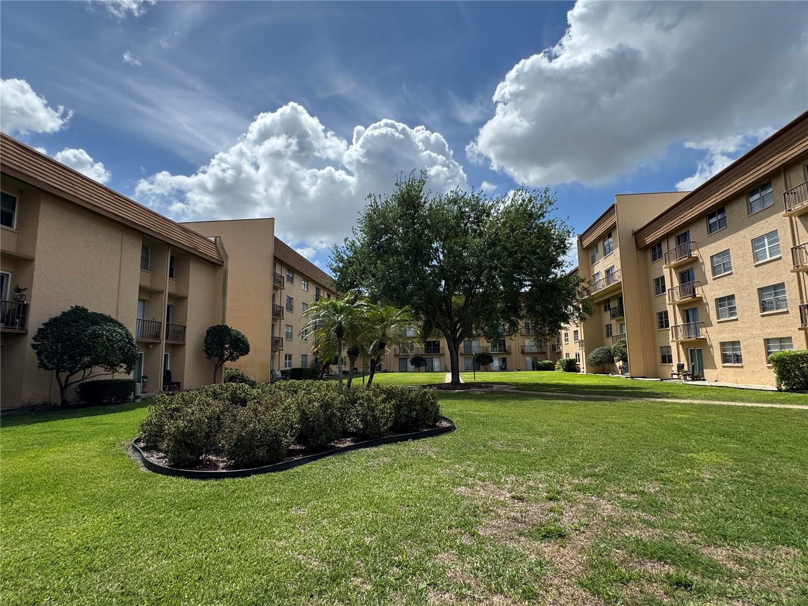 5820 N CHURCH AVE #239, TAMPA, FL, 33614