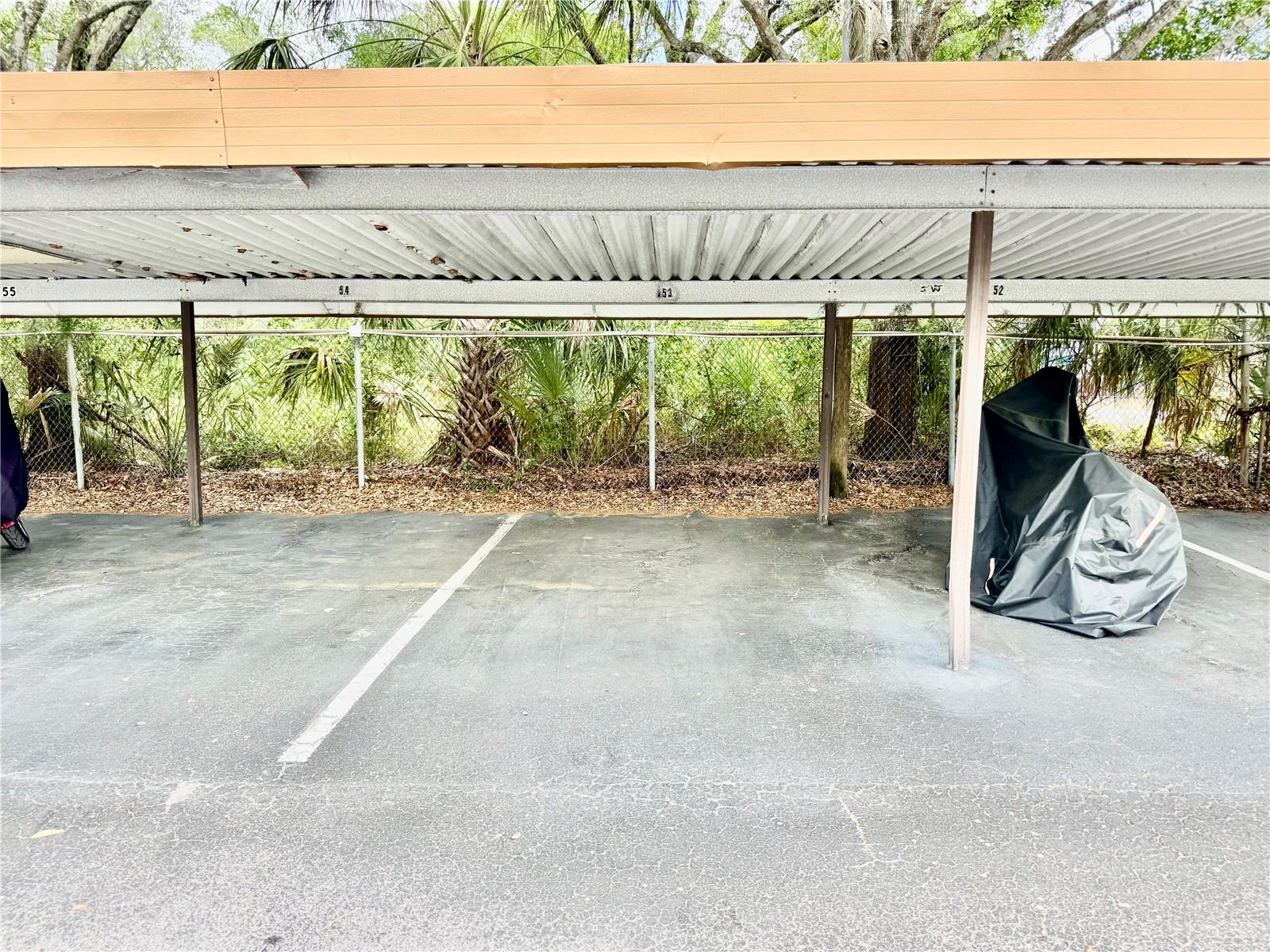 5820 N CHURCH AVE #239, TAMPA, FL, 33614