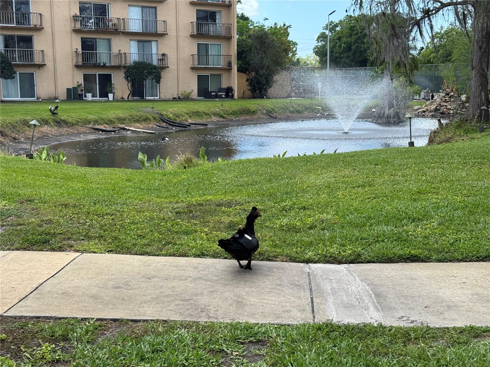 5820 N CHURCH AVE #239, TAMPA, FL, 33614