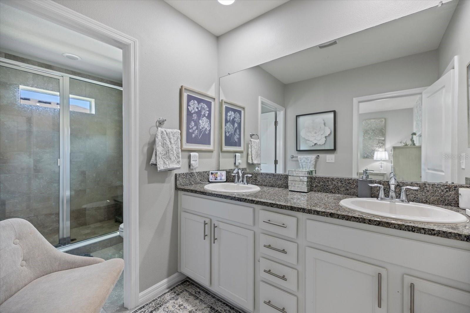 8660 ICE WINE ST, SARASOTA, FL, 34238