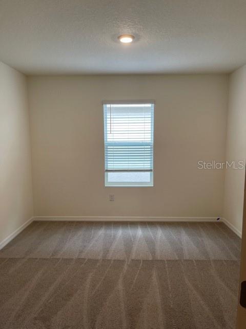 5715 MARGATE MILL BND, WESLEY CHAPEL, FL, 33545