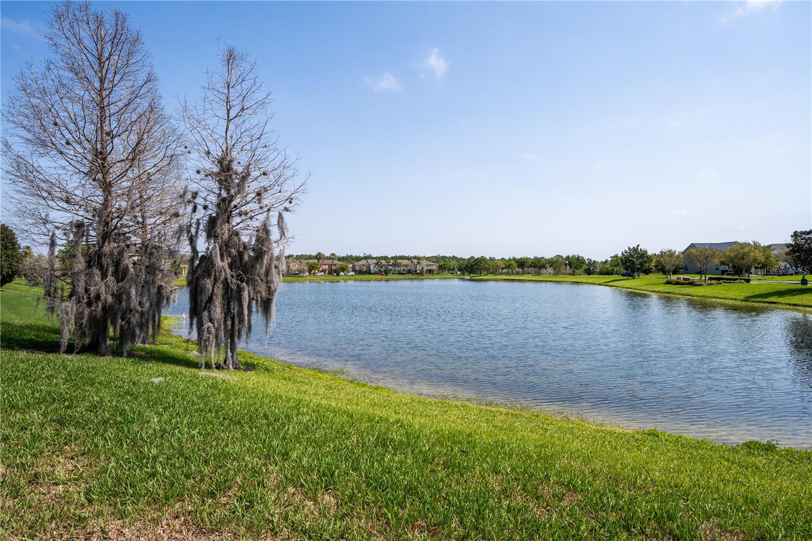 5778 LAUREL CHERRY AVE, WINTER GARDEN, FL, 34787