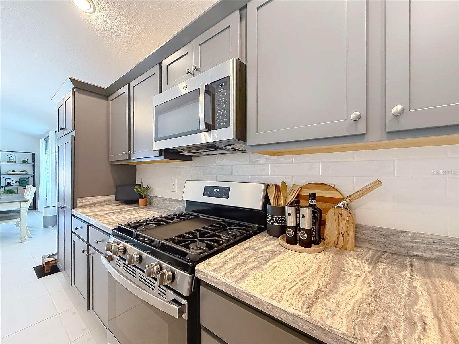 1411 FRANKLIN CT, THE VILLAGES, FL, 32163