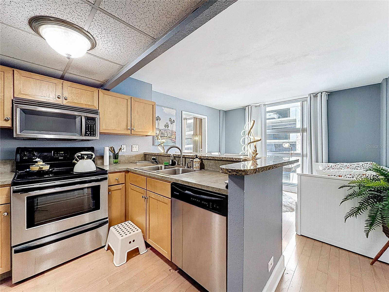 151 E WASHINGTON ST #611, ORLANDO, FL, 32801