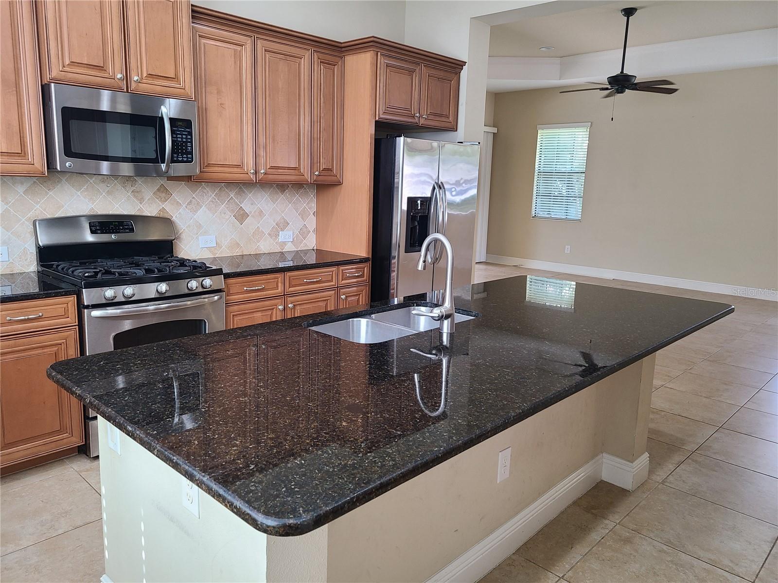 14305 STIRLING DR, LAKEWOOD RANCH, FL, 34202