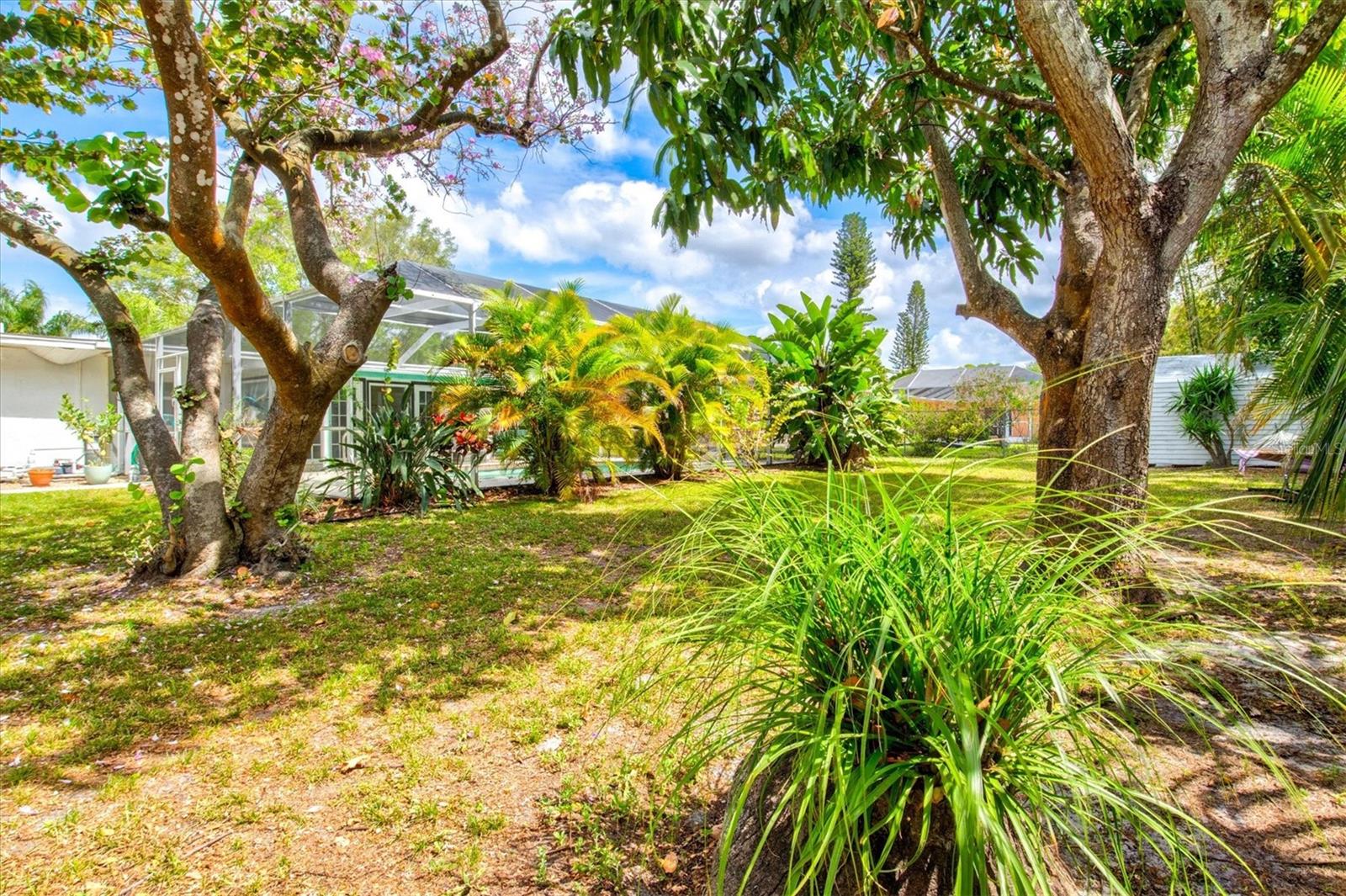 214 GAINES AVE, SARASOTA, FL, 34243