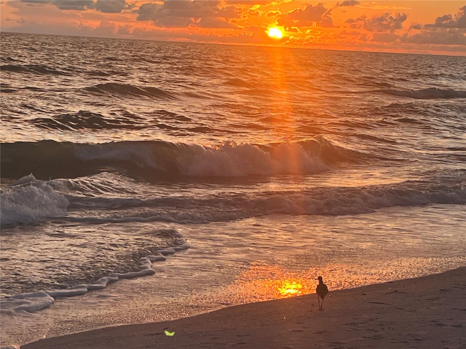 18650 GULF BLVD #315, INDIAN SHORES, FL, 33785