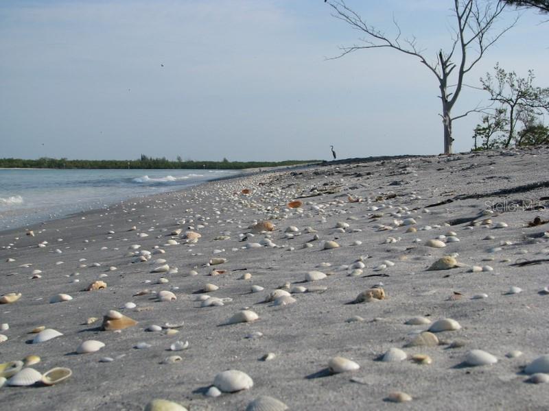 PORT CHARLOTTE SEC 093, PORT CHARLOTTE, FL, 33981
