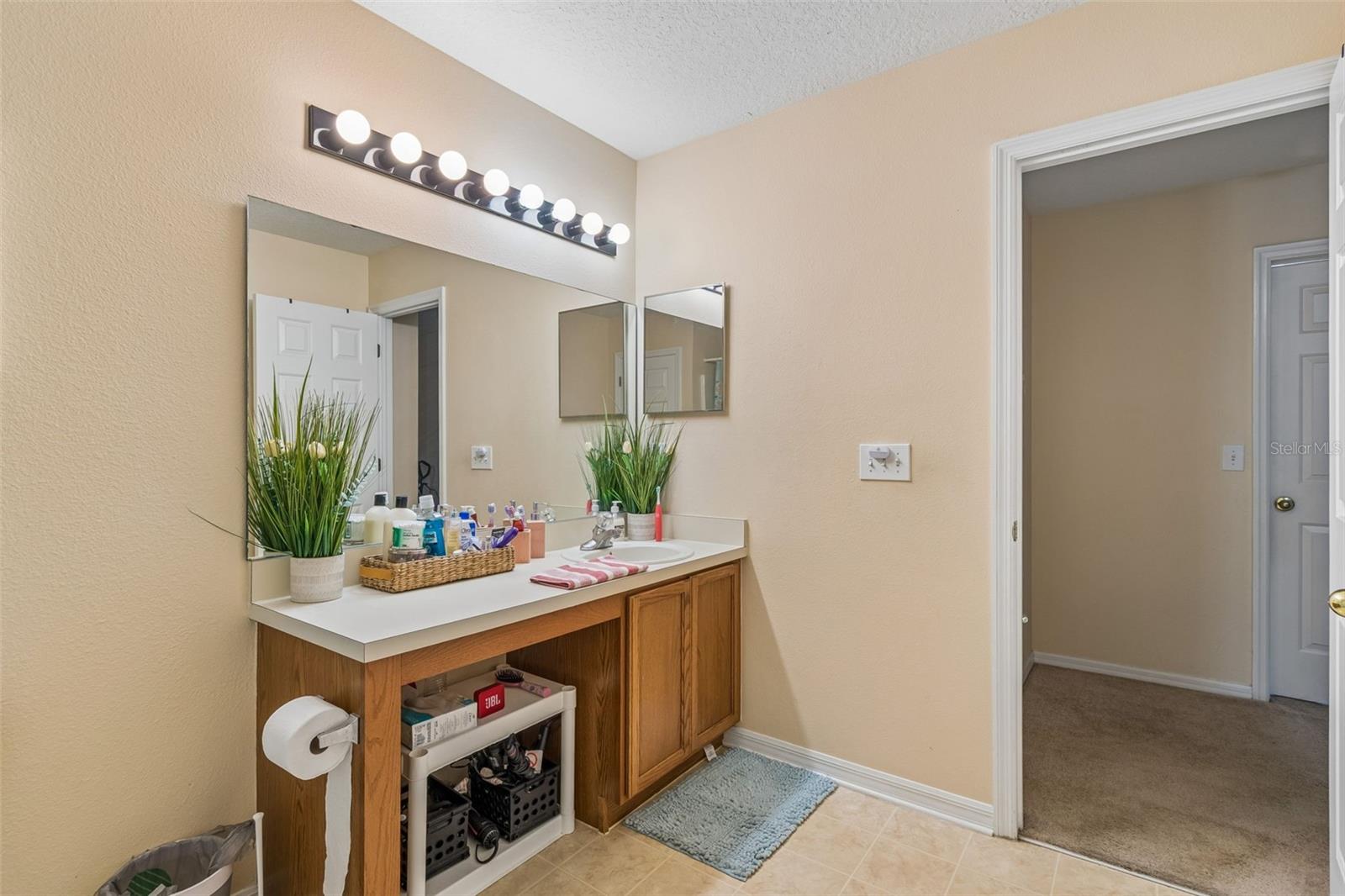 2401 SILVERMOSS DR, WESLEY CHAPEL, FL, 33544