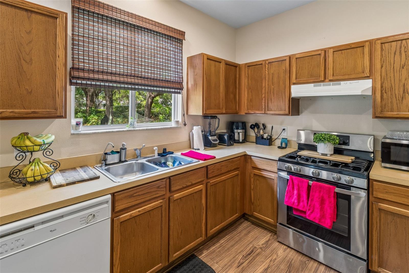 2401 SILVERMOSS DR, WESLEY CHAPEL, FL, 33544