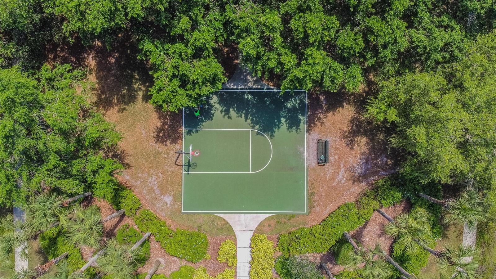 2401 SILVERMOSS DR, WESLEY CHAPEL, FL, 33544