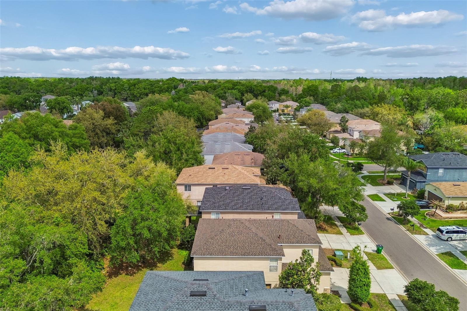2401 SILVERMOSS DR, WESLEY CHAPEL, FL, 33544