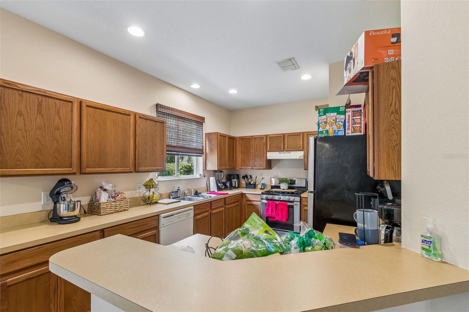 2401 SILVERMOSS DR, WESLEY CHAPEL, FL, 33544