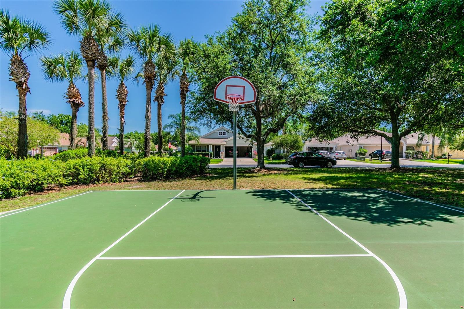 2401 SILVERMOSS DR, WESLEY CHAPEL, FL, 33544