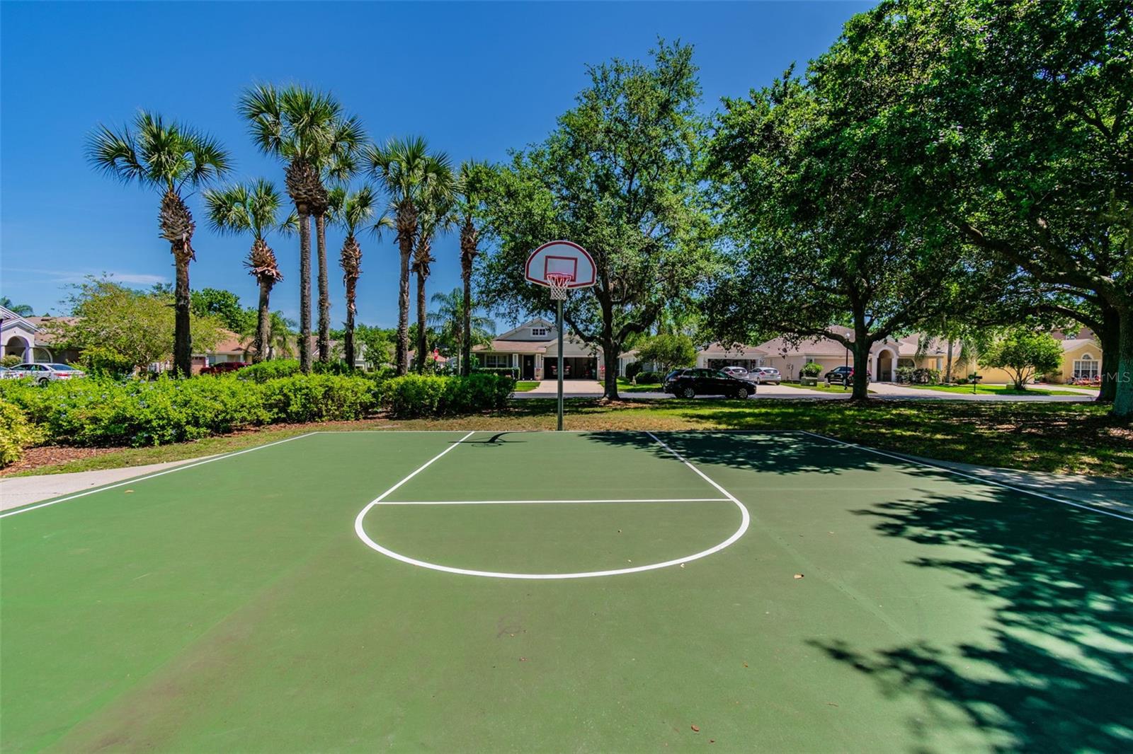 2401 SILVERMOSS DR, WESLEY CHAPEL, FL, 33544